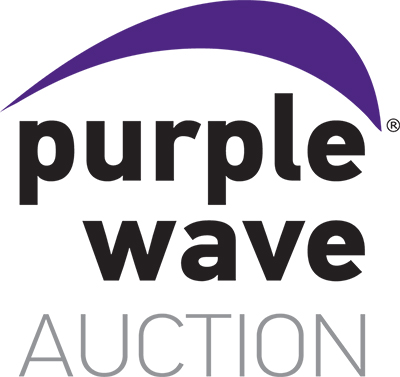 Purple Wave Auction